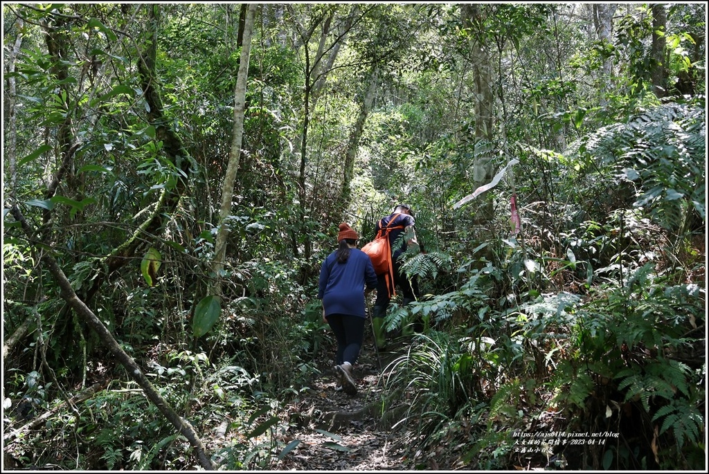 立霧山小百岳-2023-04-14-05.jpg 立霧山小百岳-2023-04-14-05.jpg