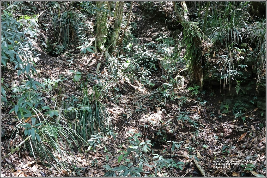 立霧山小百岳-2023-04-14-09.jpg 立霧山小百岳-2023-04-14-09.jpg