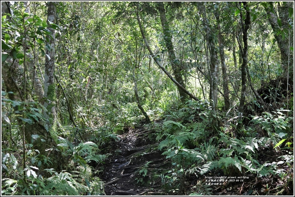 立霧山小百岳-2023-04-14-12.jpg 立霧山小百岳-2023-04-14-12.jpg