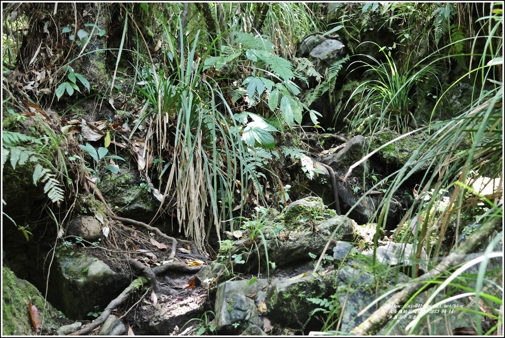 立霧山小百岳-2023-04-14-15.jpg 立霧山小百岳-2023-04-14-15.jpg