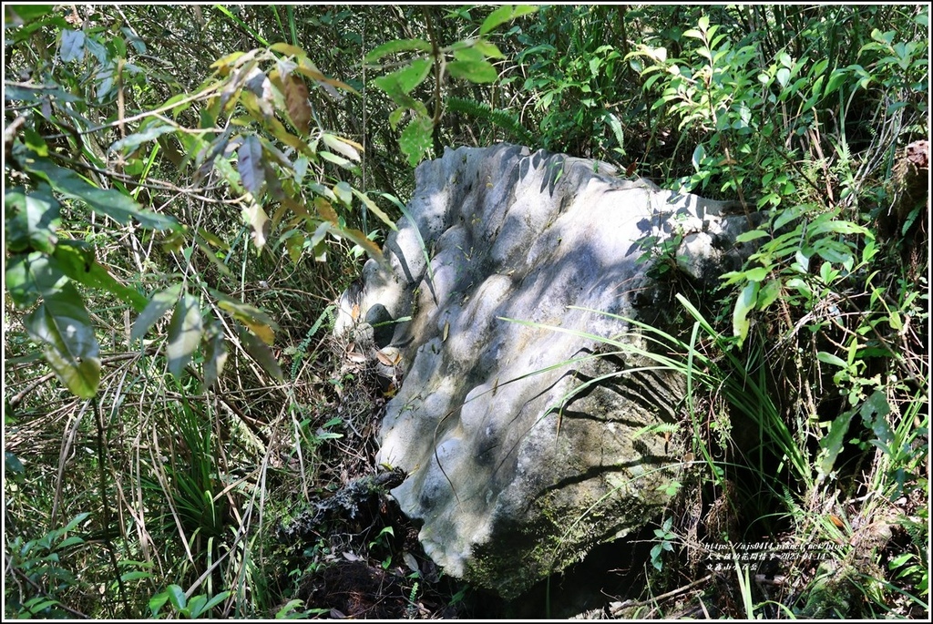 立霧山小百岳-2023-04-14-16.jpg 立霧山小百岳-2023-04-14-16.jpg