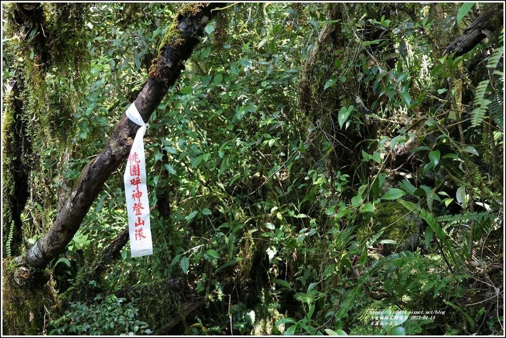 立霧山小百岳-2023-04-14-17.jpg 立霧山小百岳-2023-04-14-17.jpg