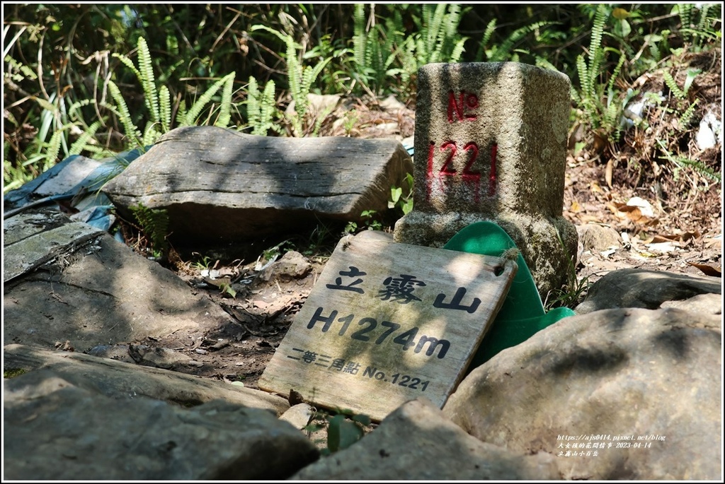 花蓮,秀林,花蓮旅遊,秀林旅遊,立霧山,得卡倫步道,大禮步道,砂卡礑林道,立霧山三角點,小百岳,水晶蘭,爬山,登山,健行