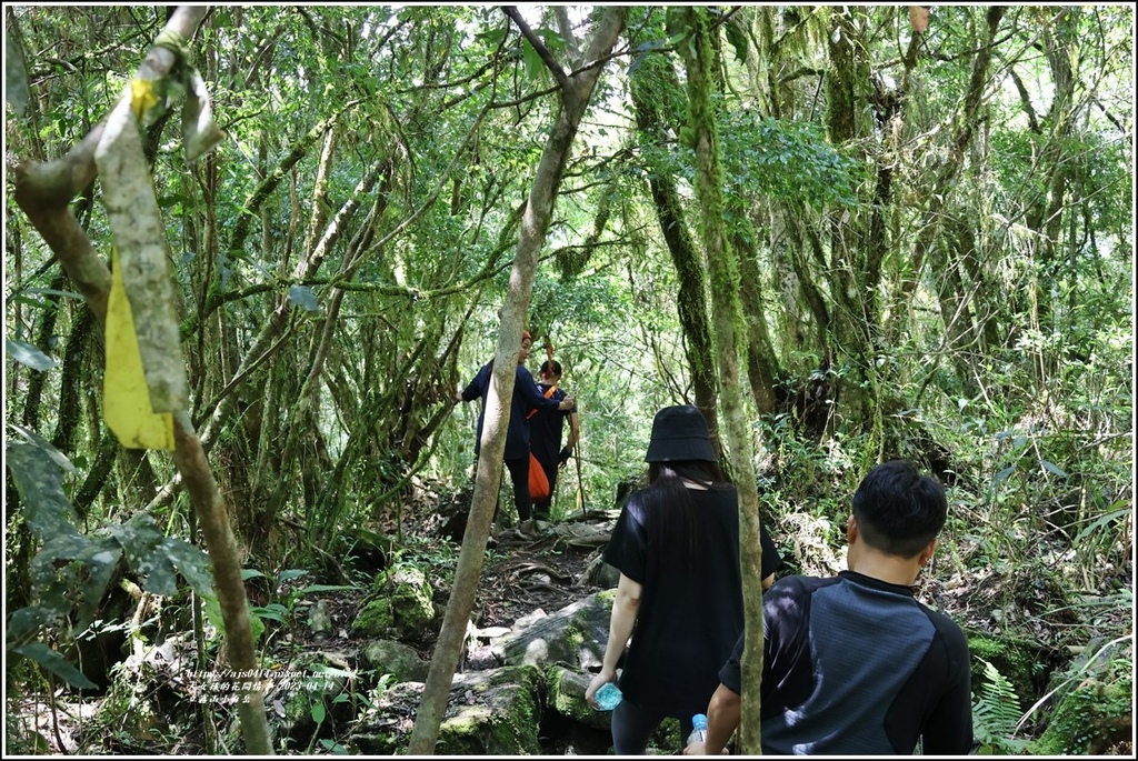 立霧山小百岳-2023-04-14-29.jpg 立霧山小百岳-2023-04-14-29.jpg