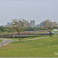 古亭河濱公園-2023-03-22-12.jpg