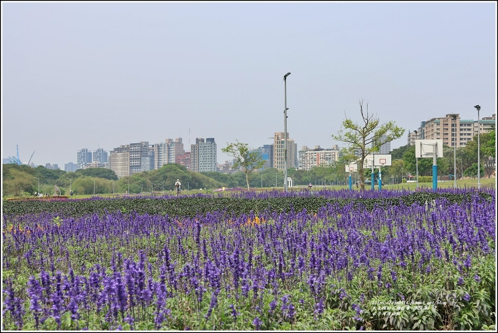 古亭河濱公園-2023-03-22-19.jpg