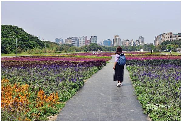 古亭河濱公園-2023-03-22-23.jpg