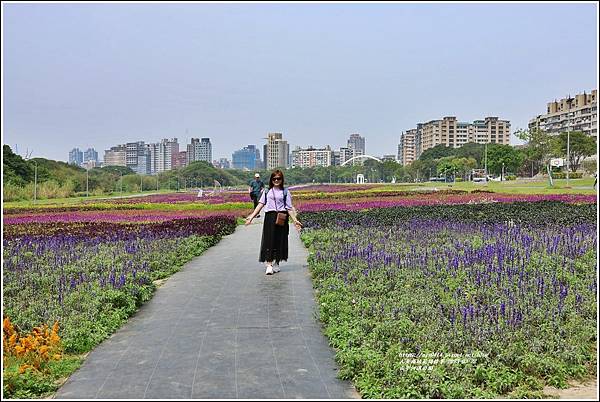 古亭河濱公園-2023-03-22-25.jpg