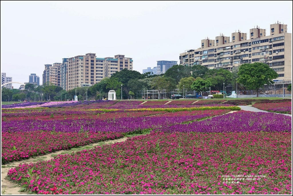 古亭河濱公園-2023-03-22-29.jpg