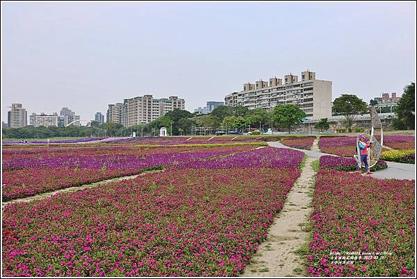 古亭河濱公園-2023-03-22-28.jpg