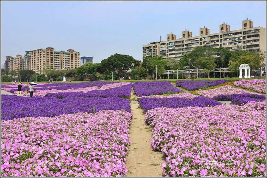 古亭河濱公園-2023-03-22-40.jpg