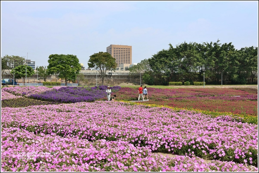 古亭河濱公園-2023-03-22-42.jpg