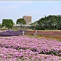 古亭河濱公園-2023-03-22-42.jpg