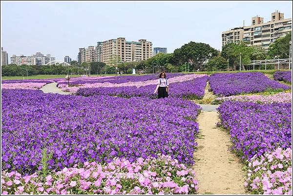 古亭河濱公園-2023-03-22-44.jpg