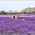 古亭河濱公園-2023-03-22-45.jpg