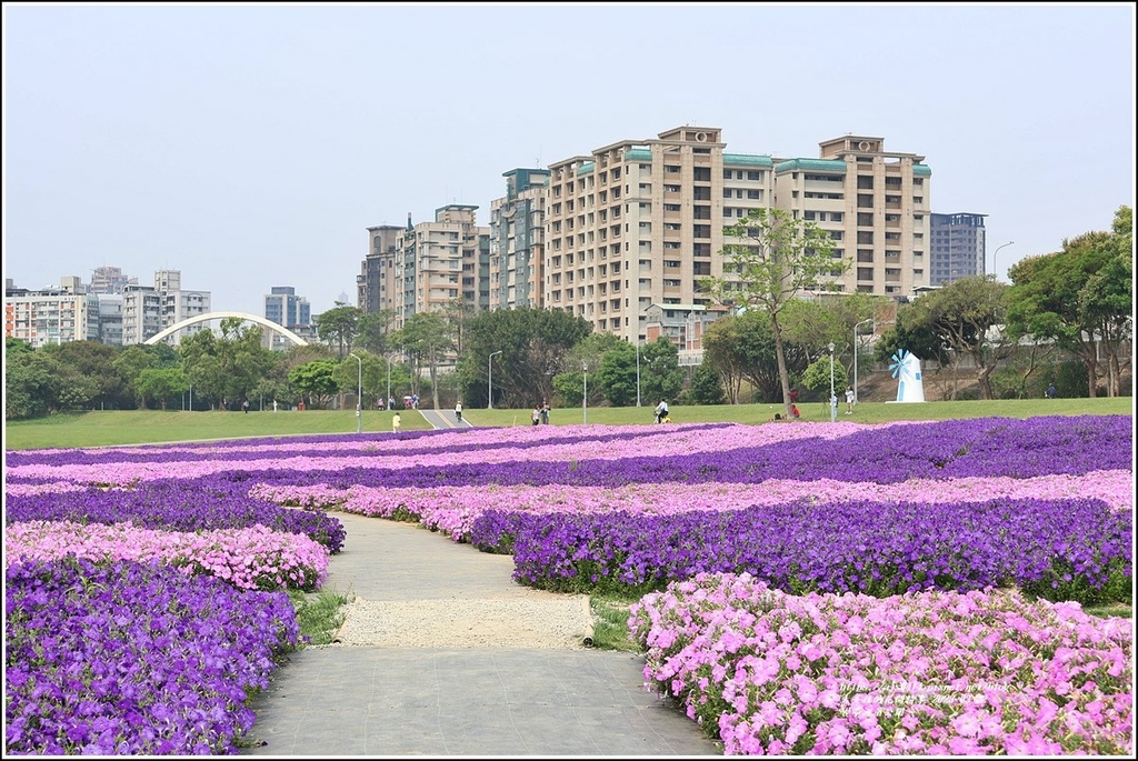 古亭河濱公園-2023-03-22-50.jpg