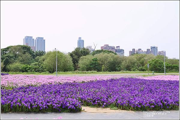 古亭河濱公園-2023-03-22-59.jpg