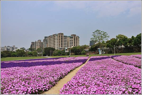 古亭河濱公園-2023-03-22-63.jpg