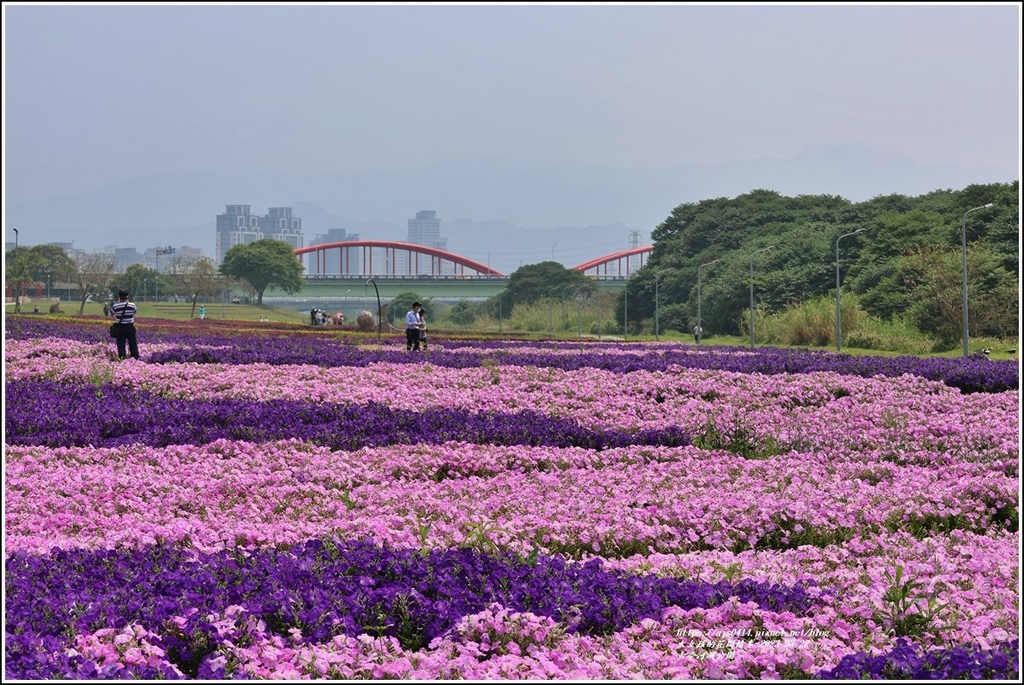 古亭河濱公園-2023-03-22-67.jpg