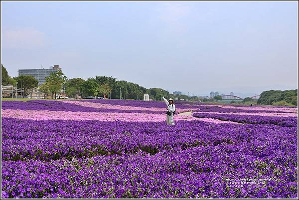 古亭河濱公園-2023-03-22-69.jpg