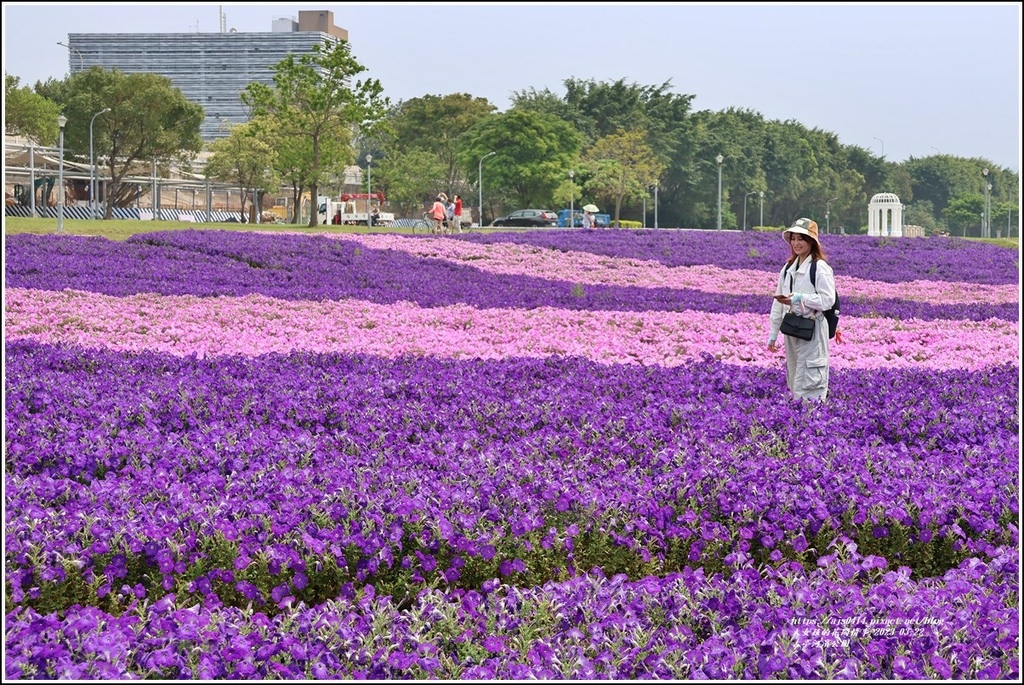 古亭河濱公園-2023-03-22-70.jpg