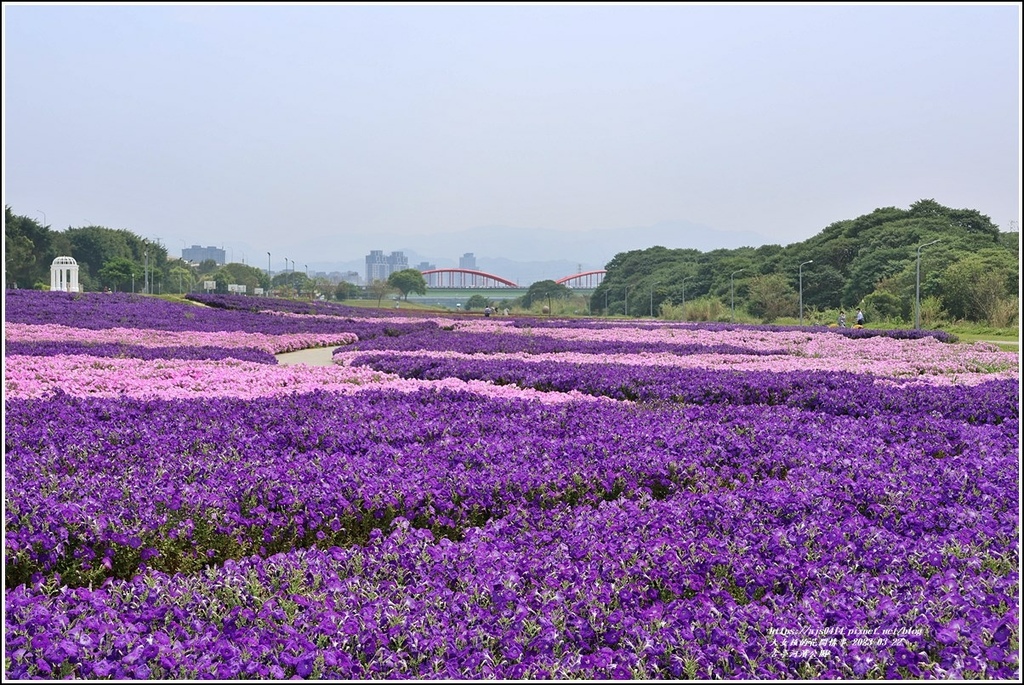 古亭河濱公園-2023-03-22-71.jpg