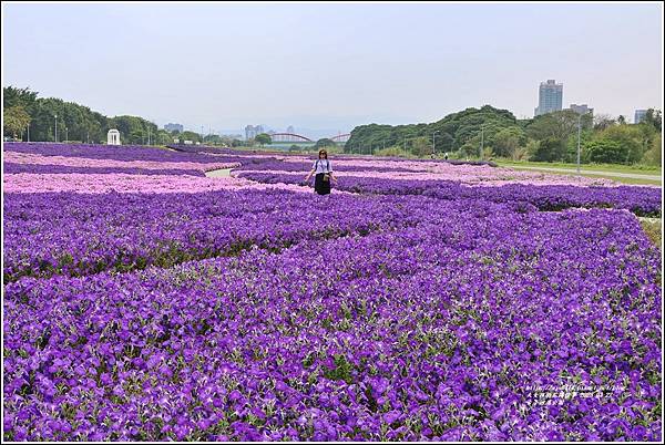 古亭河濱公園-2023-03-22-73.jpg