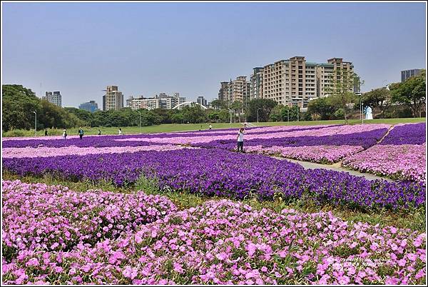 古亭河濱公園-2023-03-22-77.jpg