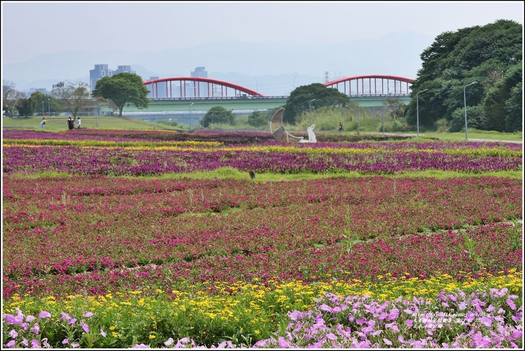 古亭河濱公園-2023-03-22-83.jpg