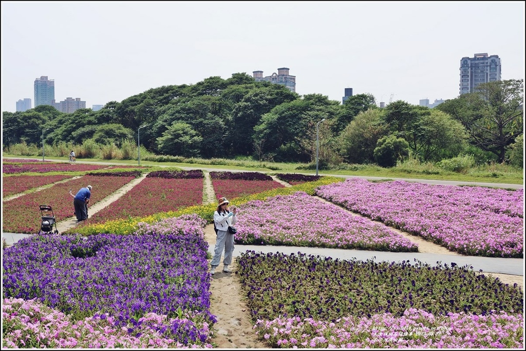 古亭河濱公園-2023-03-22-85.jpg