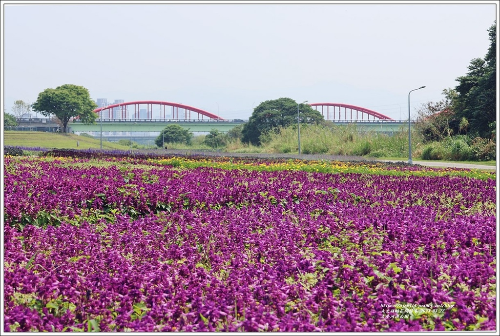 古亭河濱公園-2023-03-22-90.jpg