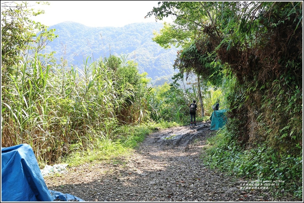 砂卡礑林道到大同部落-2023-04-14-05.jpg 砂卡礑林道到大同部落-2023-04-14-05.jpg