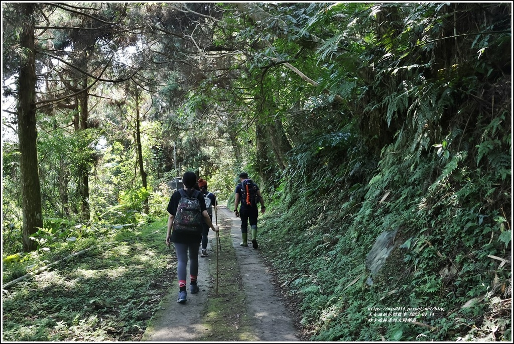 砂卡礑林道到大同部落-2023-04-14-08.jpg 砂卡礑林道到大同部落-2023-04-14-08.jpg