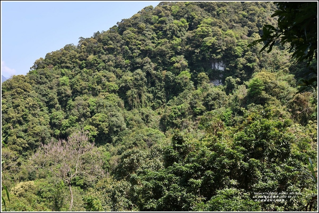 砂卡礑林道到大同部落-2023-04-14-16.jpg 砂卡礑林道到大同部落-2023-04-14-16.jpg