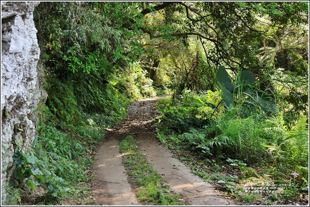 砂卡礑林道到大同部落-2023-04-14-19.jpg 砂卡礑林道到大同部落-2023-04-14-19.jpg