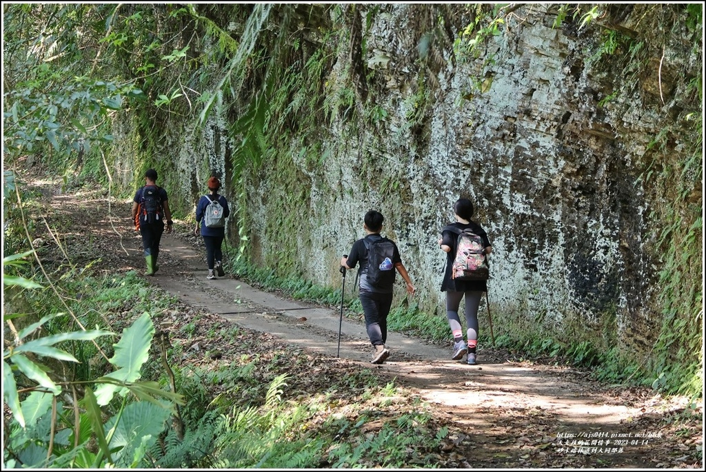 砂卡礑林道到大同部落-2023-04-14-21.jpg 砂卡礑林道到大同部落-2023-04-14-21.jpg
