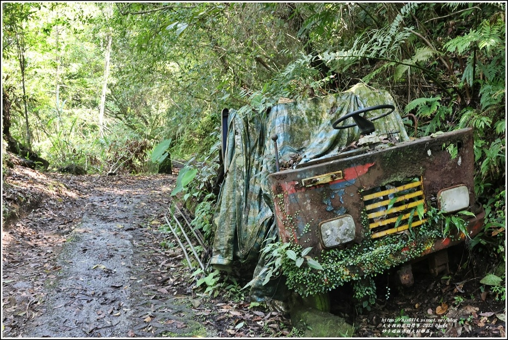 砂卡礑林道到大同部落-2023-04-14-23.jpg 砂卡礑林道到大同部落-2023-04-14-23.jpg