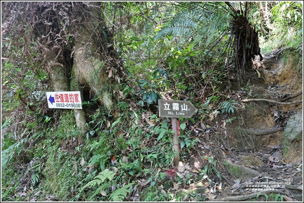 砂卡礑林道到大同部落-2023-04-14-32.jpg 砂卡礑林道到大同部落-2023-04-14-32.jpg