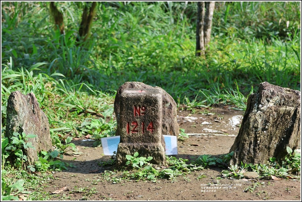 初音山小百岳-2023-04-29-55.jpg