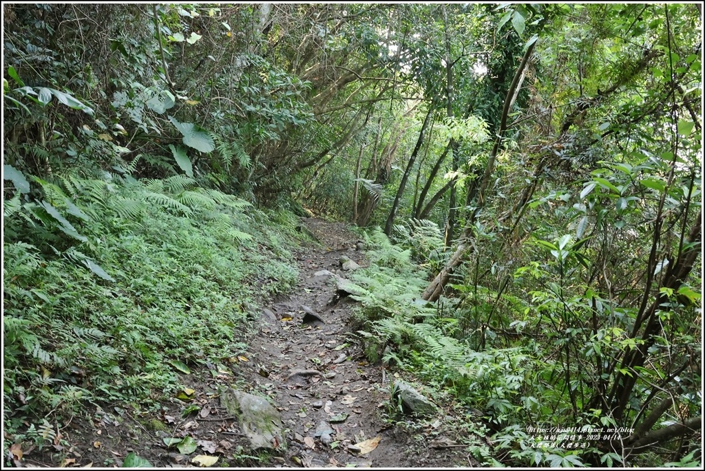 大禮部落(大禮步道)-2023-04-14-03.jpg 大禮部落(大禮步道)-2023-04-14-03.jpg