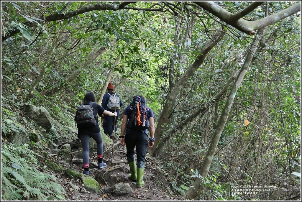 大禮部落(大禮步道)-2023-04-14-04.jpg 大禮部落(大禮步道)-2023-04-14-04.jpg