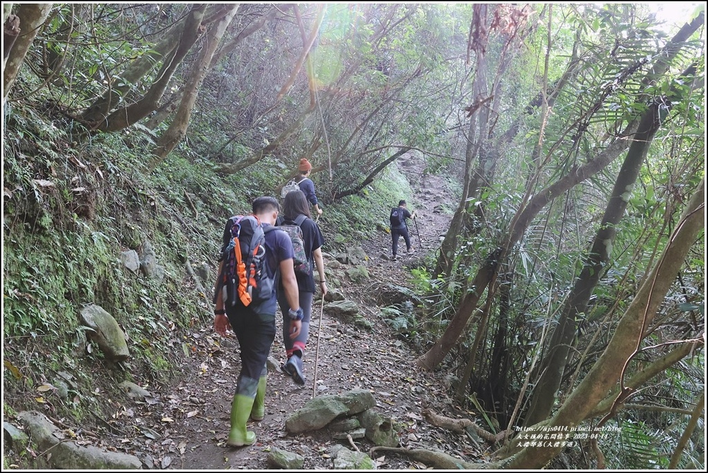 大禮部落(大禮步道)-2023-04-14-02.jpg 大禮部落(大禮步道)-2023-04-14-02.jpg