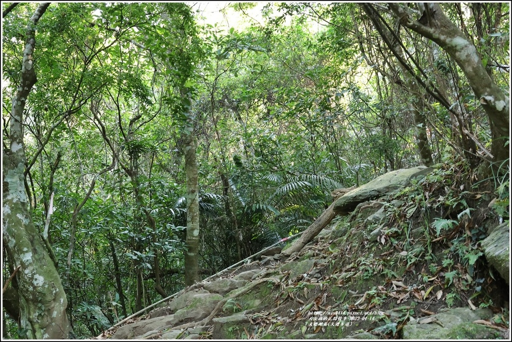 大禮部落(大禮步道)-2023-04-14-07.jpg 大禮部落(大禮步道)-2023-04-14-07.jpg