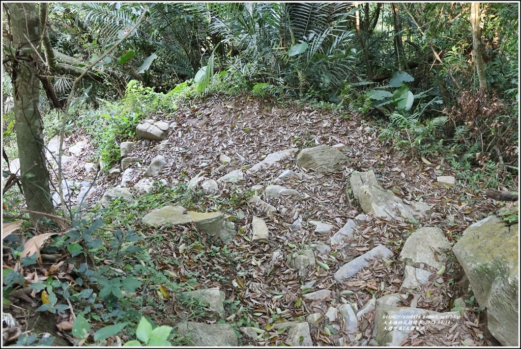 大禮部落(大禮步道)-2023-04-14-10.jpg 大禮部落(大禮步道)-2023-04-14-10.jpg