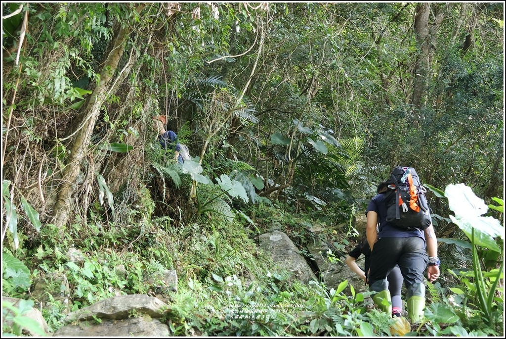大禮部落(大禮步道)-2023-04-14-09.jpg 大禮部落(大禮步道)-2023-04-14-09.jpg