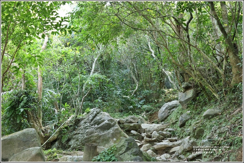大禮部落(大禮步道)-2023-04-14-15.jpg 大禮部落(大禮步道)-2023-04-14-15.jpg