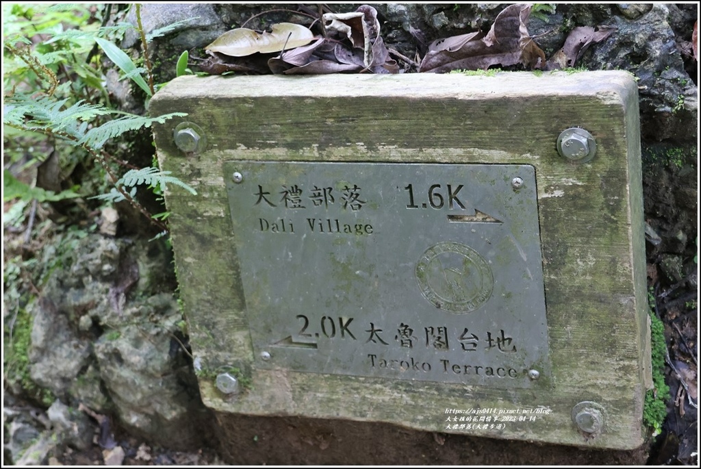 大禮部落(大禮步道)-2023-04-14-16.jpg 大禮部落(大禮步道)-2023-04-14-16.jpg