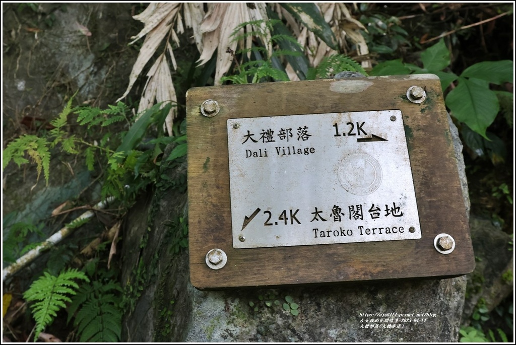 大禮部落(大禮步道)-2023-04-14-20.jpg 大禮部落(大禮步道)-2023-04-14-20.jpg