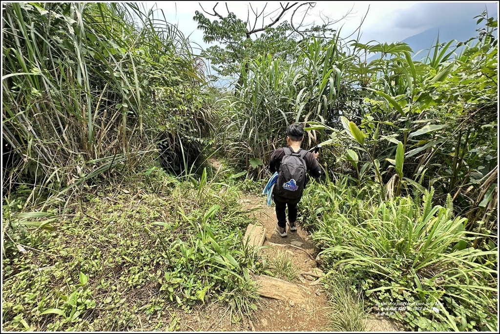 大禮部落(大禮步道)-2023-04-14-24.jpg 大禮部落(大禮步道)-2023-04-14-24.jpg