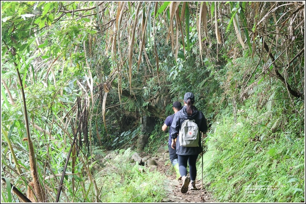 大禮部落(大禮步道)-2023-04-14-27.jpg 大禮部落(大禮步道)-2023-04-14-27.jpg